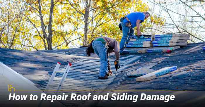 Essential Guide to Roof and Siding Repair in 2024 | HOMEiA